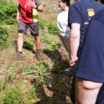 LockTec SITEC Projekt Bäume pflanzen 3