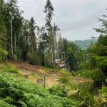 LockTec SITEC Projekt Bäume pflanzen 2