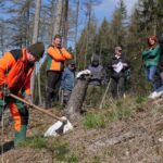 LockTec SITEC Projekt Bäume pflanzen Frankenwald 2